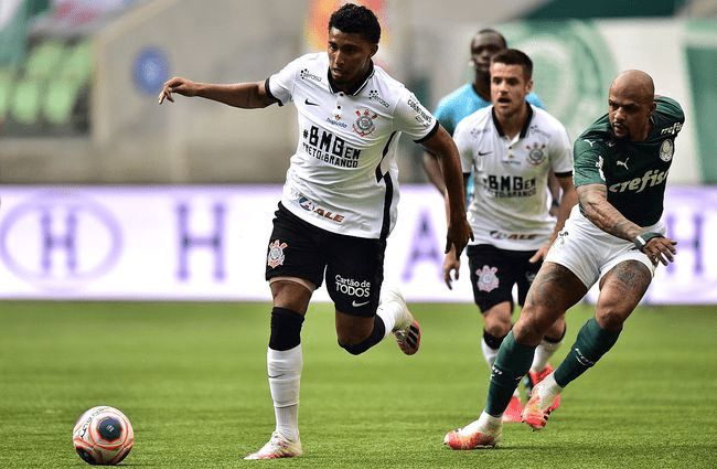 迷生态与俱 迷生态与俱